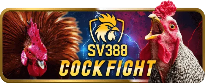 Cá cược thể thao 789b1